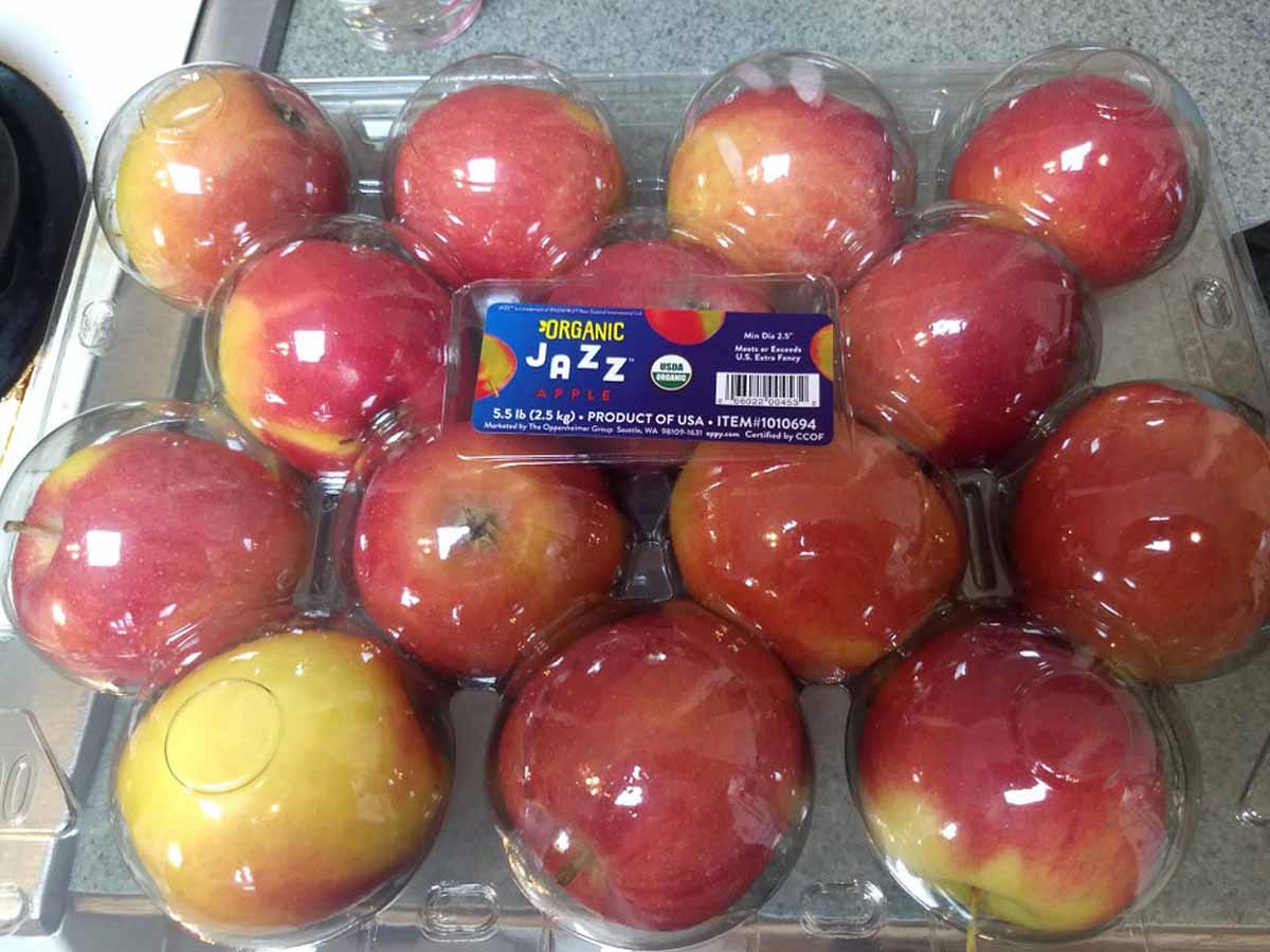 Fruit